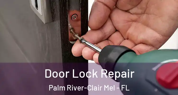 Door Lock Repair Palm River-Clair Mel - FL