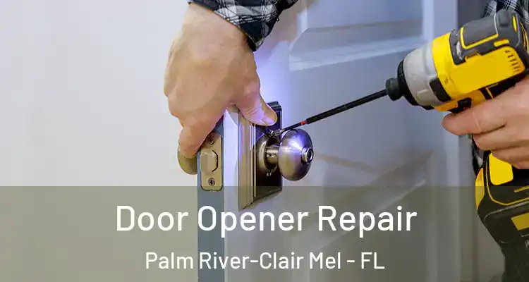 Door Opener Repair Palm River-Clair Mel - FL