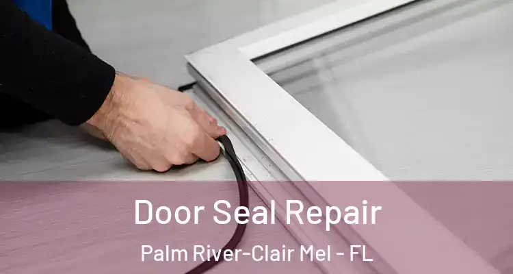 Door Seal Repair Palm River-Clair Mel - FL