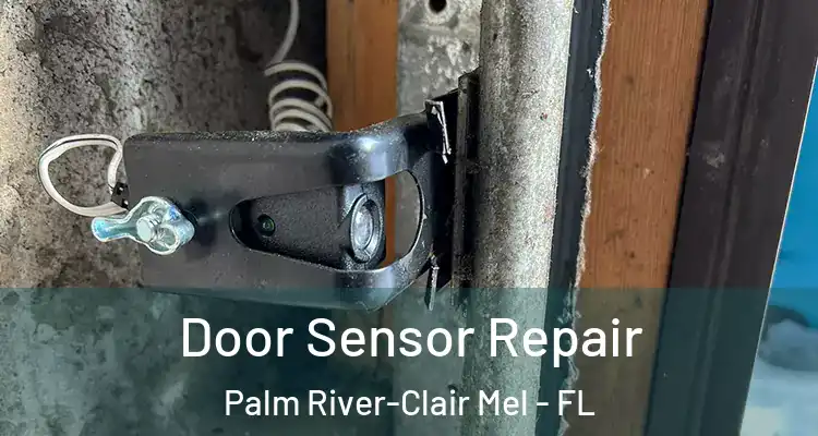 Door Sensor Repair Palm River-Clair Mel - FL