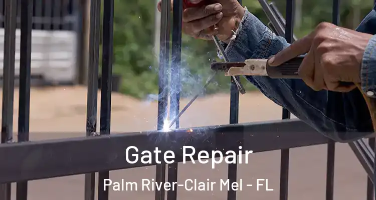Gate Repair Palm River-Clair Mel - FL