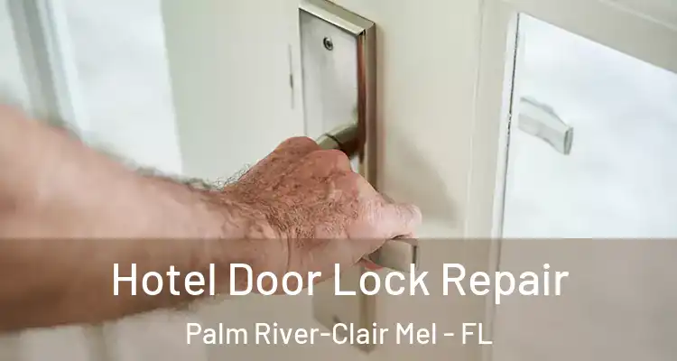 Hotel Door Lock Repair Palm River-Clair Mel - FL