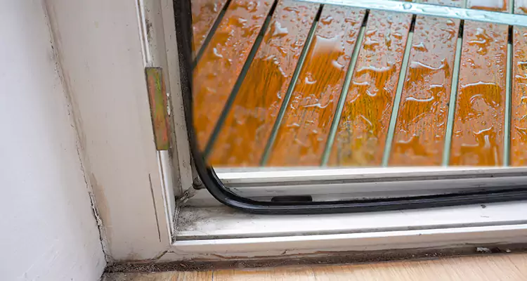 Water Leaking Wooden Patio Doors Repair in Palm River-Clair Mel, FL
