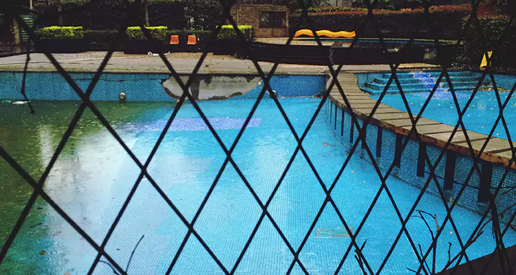 Lanai Screen Repair in Palm River-Clair Mel, FL