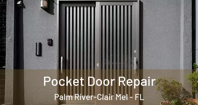 Pocket Door Repair Palm River-Clair Mel - FL