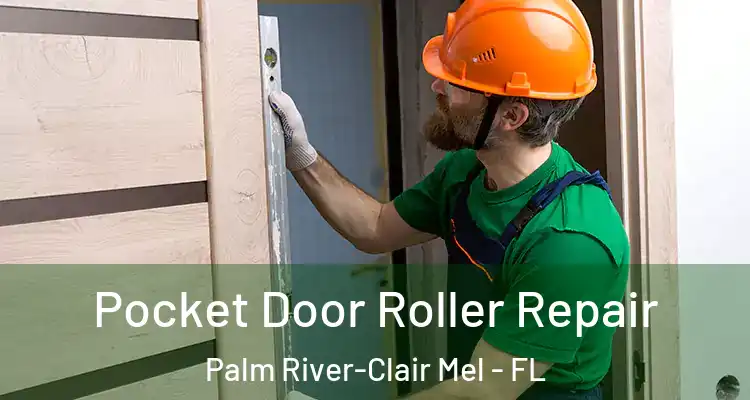 Pocket Door Roller Repair Palm River-Clair Mel - FL