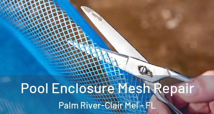 Pool Enclosure Mesh Repair Palm River-Clair Mel - FL