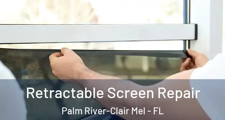 Retractable Screen Repair Palm River-Clair Mel - FL