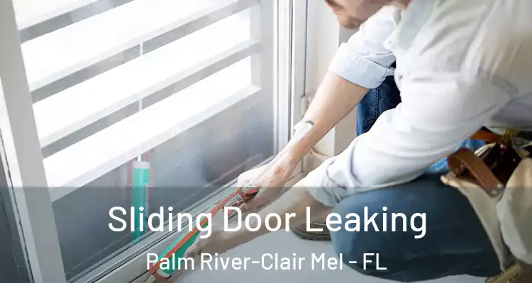 Sliding Door Leaking Palm River-Clair Mel - FL