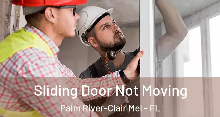 Sliding Door Not Moving Palm River-Clair Mel - FL