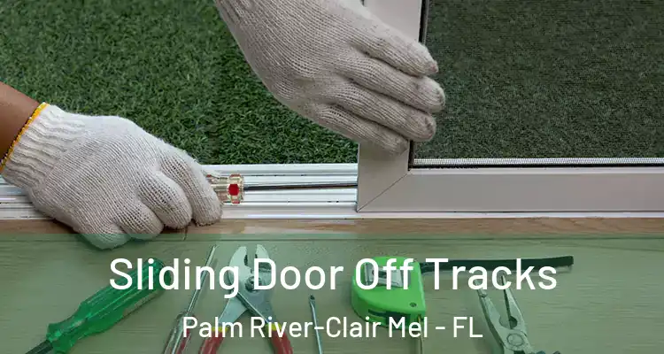 Sliding Door Off Tracks Palm River-Clair Mel - FL