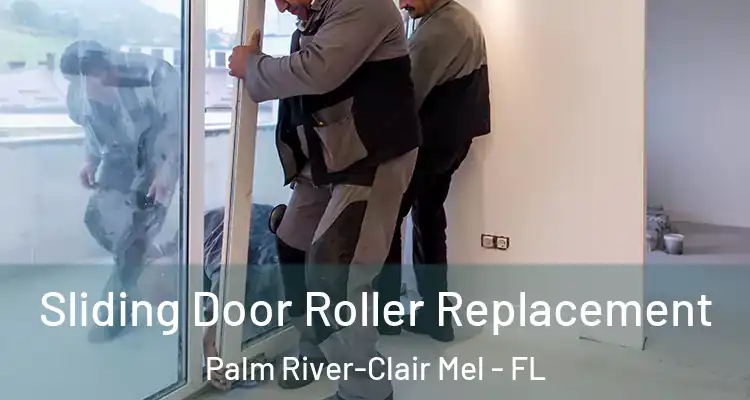 Sliding Door Roller Replacement Palm River-Clair Mel - FL
