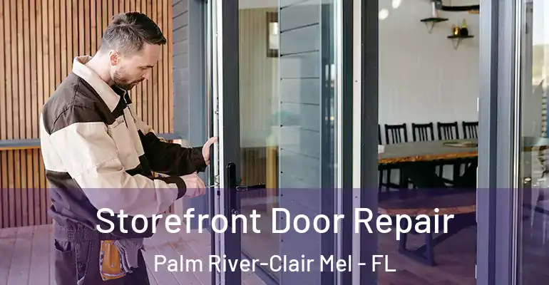 Storefront Door Repair Palm River-Clair Mel - FL