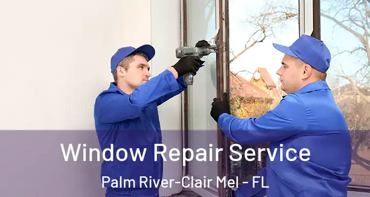 Window Repair Service Palm River-Clair Mel - FL